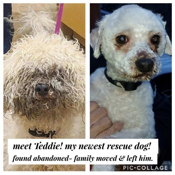 Cream colored woman's hat - Picture 8 of 8